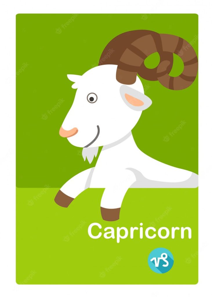 Capricorn